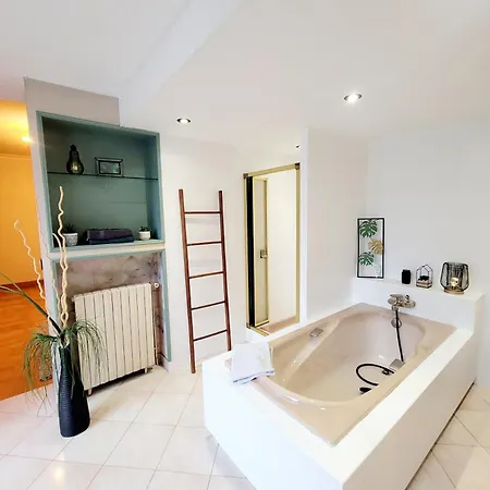 Superbe Calme Et Spacieux Graulhet