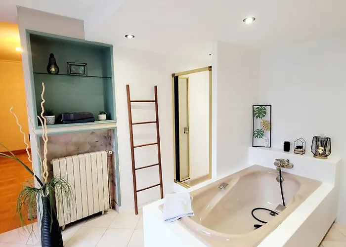 Superbe Calme Et Spacieux Graulhet